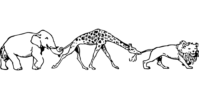 Come ottenere backlink